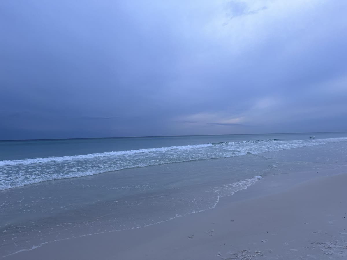beach Seaside Florida