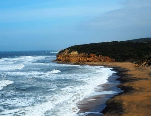 10 Unforgettable Things To Do On The Surf Coast