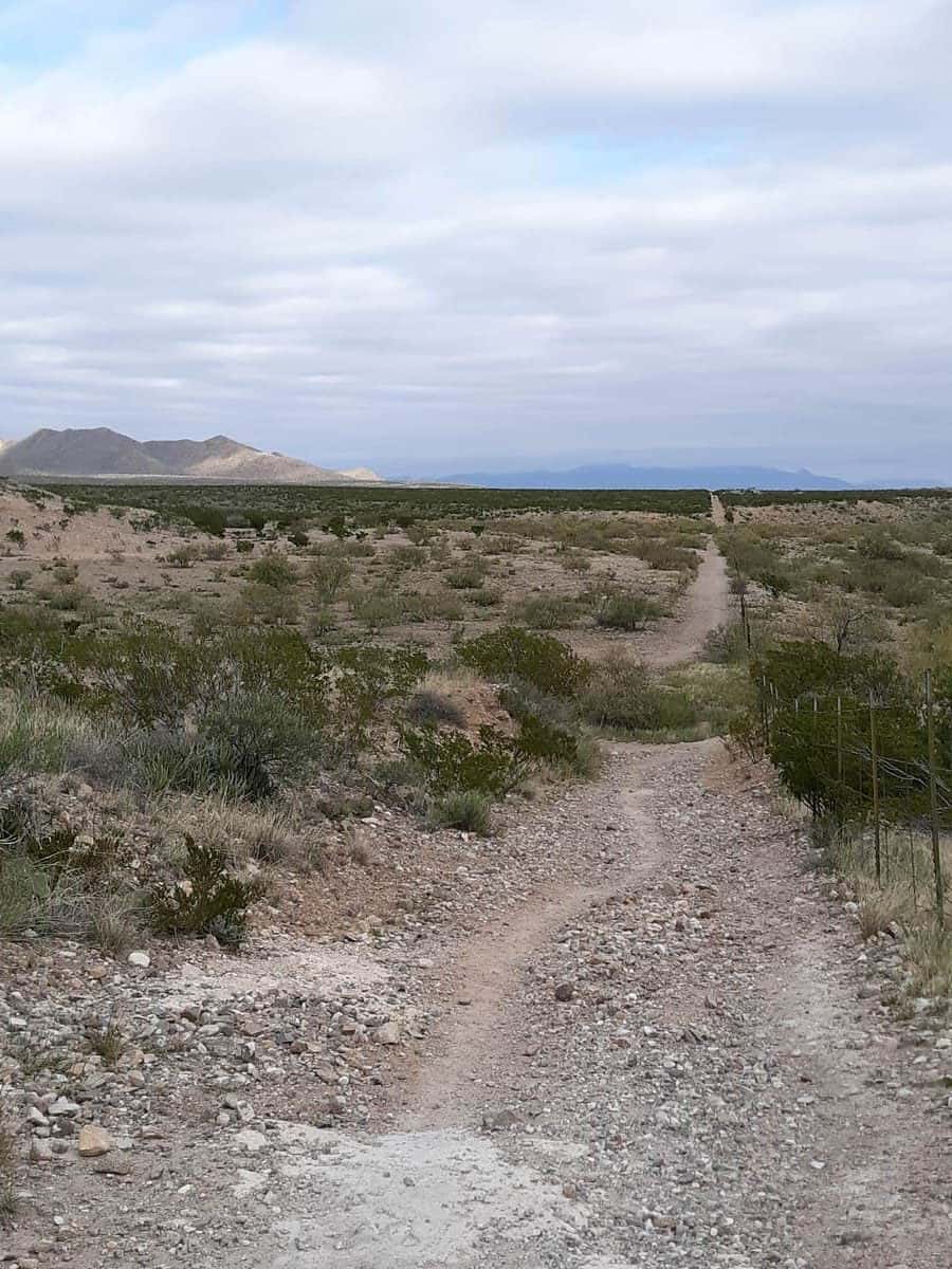 Franklin Mountains State Park Trails