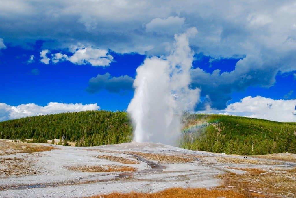 a geyser in yellowstone