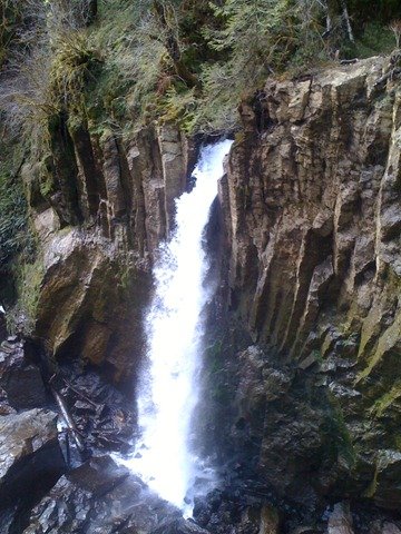 Hike to Drift Creek Falls waterfall