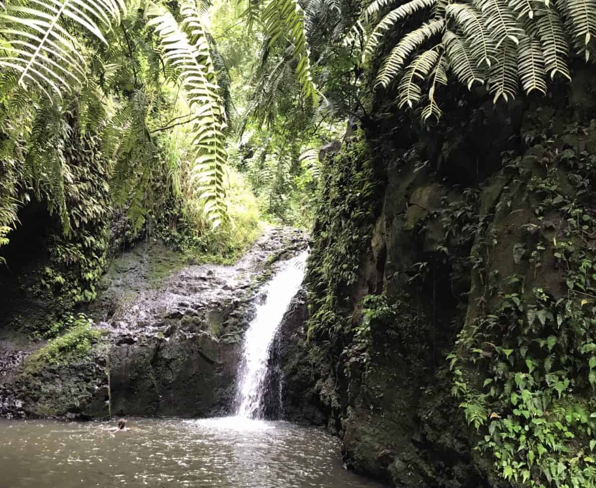 Maunawili Falls 