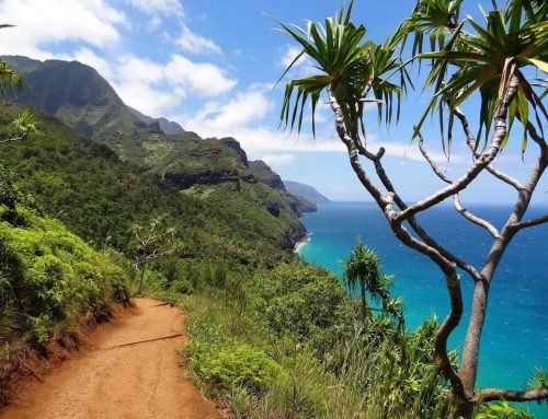 How to Plan a Trip to Hawaii