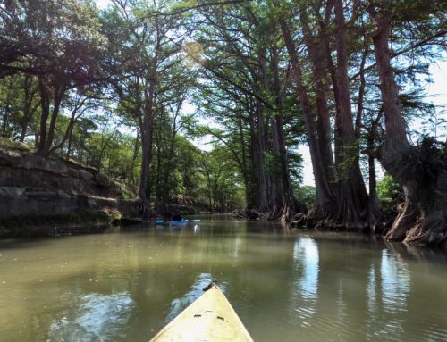 10 Family-Friendly Spots To Kayak In Texas