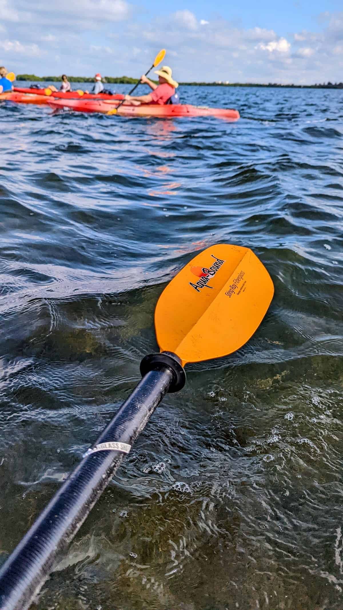 kayaking emerson point