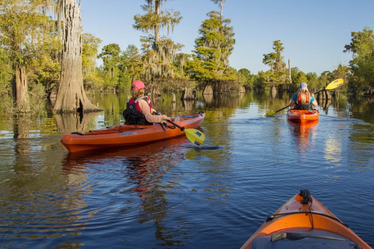 Kayaking in Gulf County, Florida