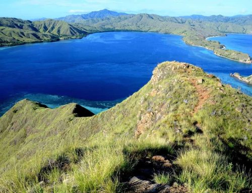 9 Things to do in Komodo National Park