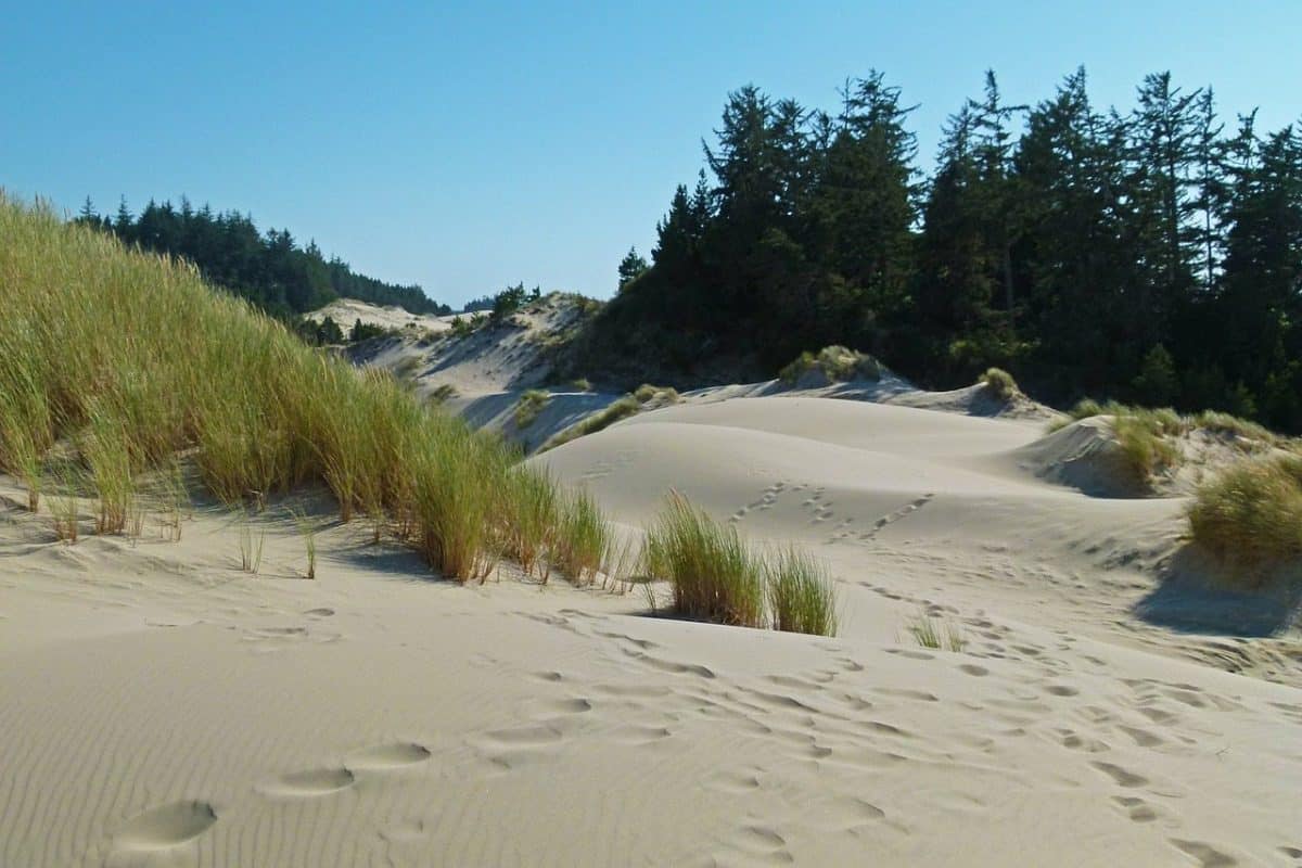 Oregon Dunes National recreation area