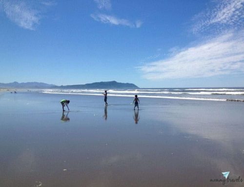 14 Best Places to Go Camping on Oregon Beaches
