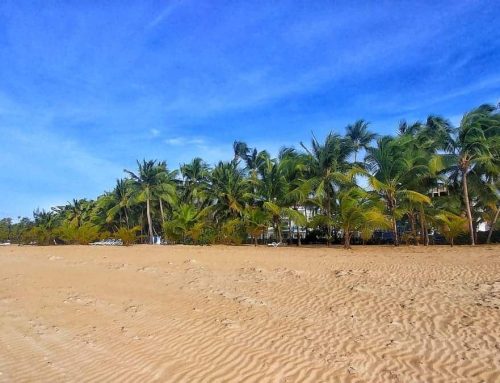 Best things to do in Las Terrenas, Dominican Republic