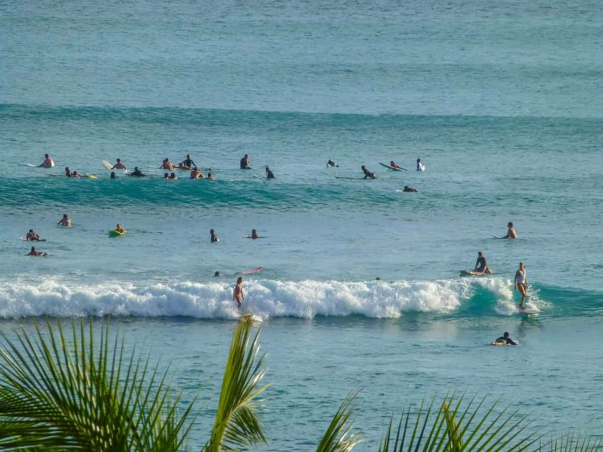 Surfing off the Coast of Waikiki