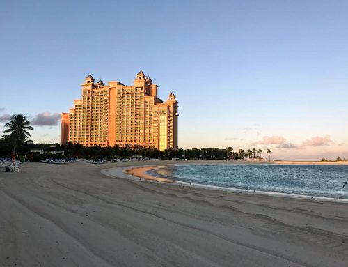 The Cove at Atlantis Review: A Parent’s Dream Vacation