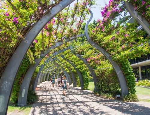 10+ Things to do in Brisbane, Queensland with kids