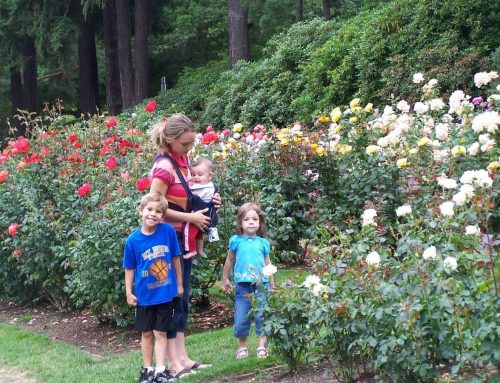 34 Things to do in Portland, Oregon with Kids