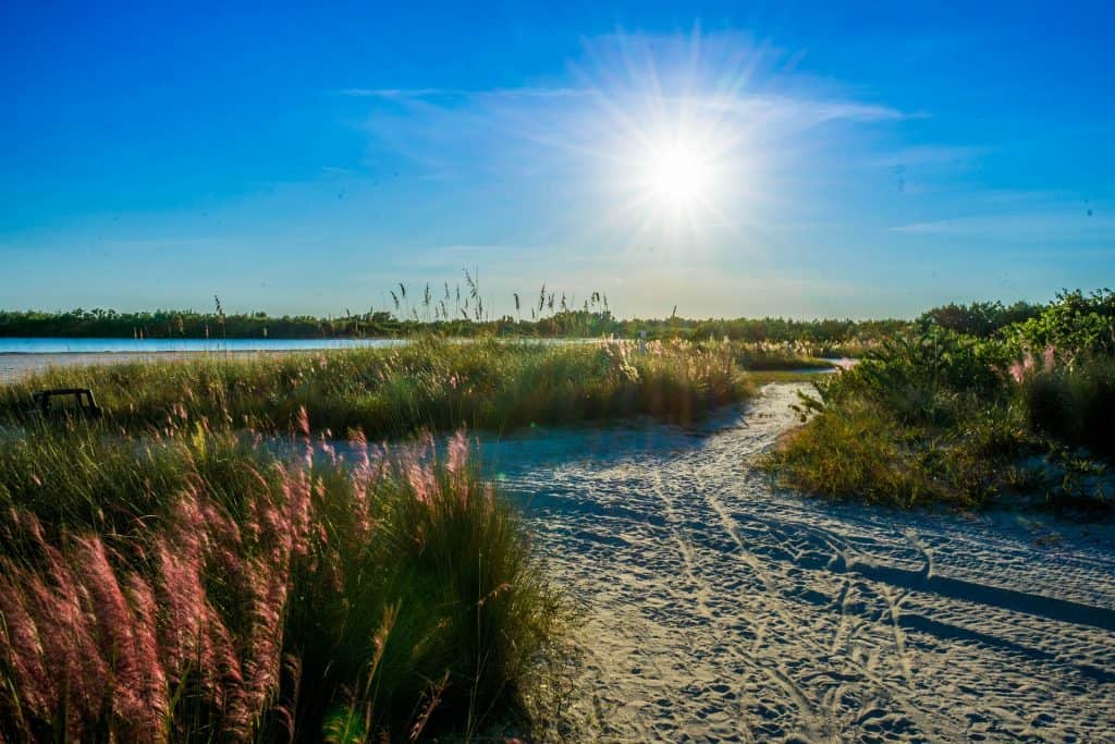 Sand paths through beach grass at Tigertail Beach on Marco Island with a bright sun shining.