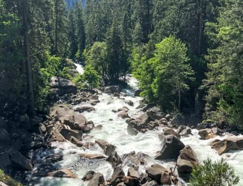 Trek to Vernal Falls a.k.a. The Mist Trail Hike: One of Yosemite’s Popular Hikes