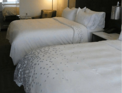 How to Avoid Bed Bugs