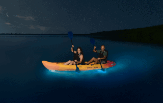 Kayaking in Bioluminescent Bay -photo b Discover Puerto Rico