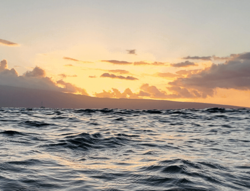 5 Family Things to Do in Maui, Hawaii
